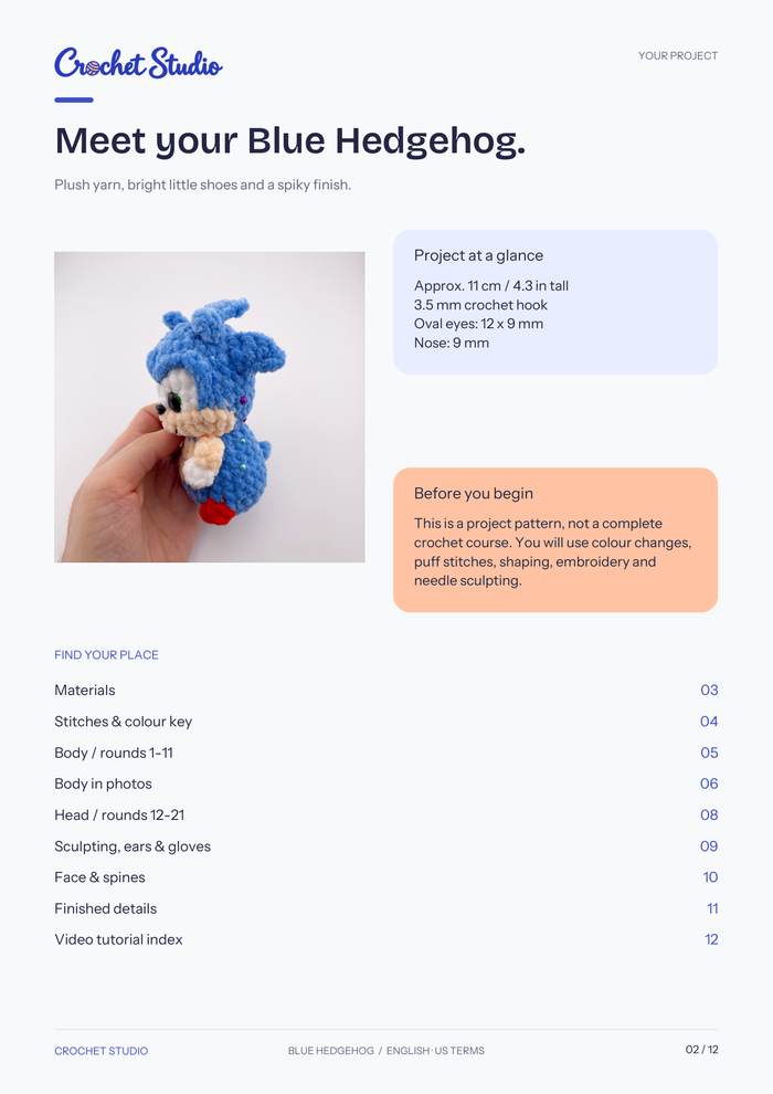 Page 02 · Meet your Blue Hedgehog